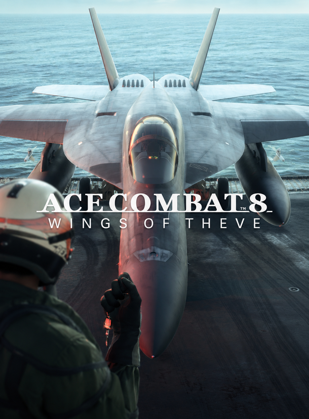 Ace Combat 8: Wings of Theve